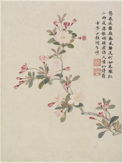 Krabappelbloesem uit een bloemenalbum van tien bladeren, 1656 door Shengmo Xiang